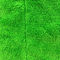 Poliester Poliamid Ściereczka do czyszczenia z mikrofibry Green Coral Fleece 30x30